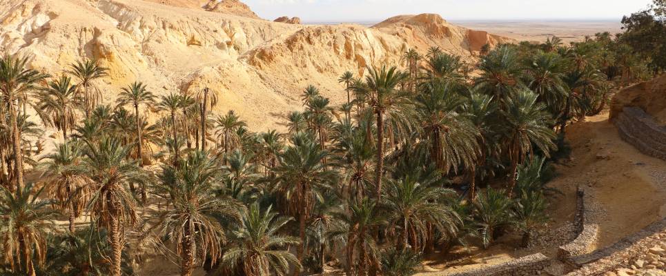 Oasis of Chebika