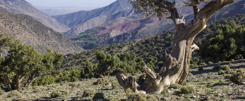 High Atlas Mountains