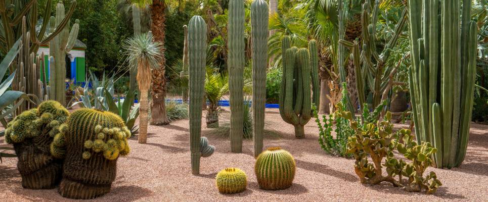 Majorelle Garden