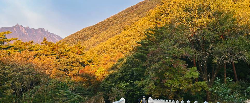 Discover South Korea