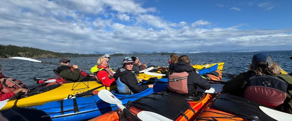 Whales & Bears of British Columbia