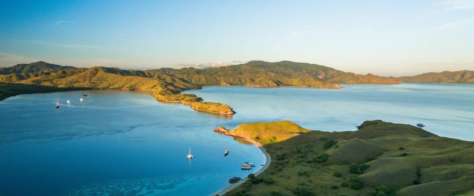 Primates & Dragons of Indonesia