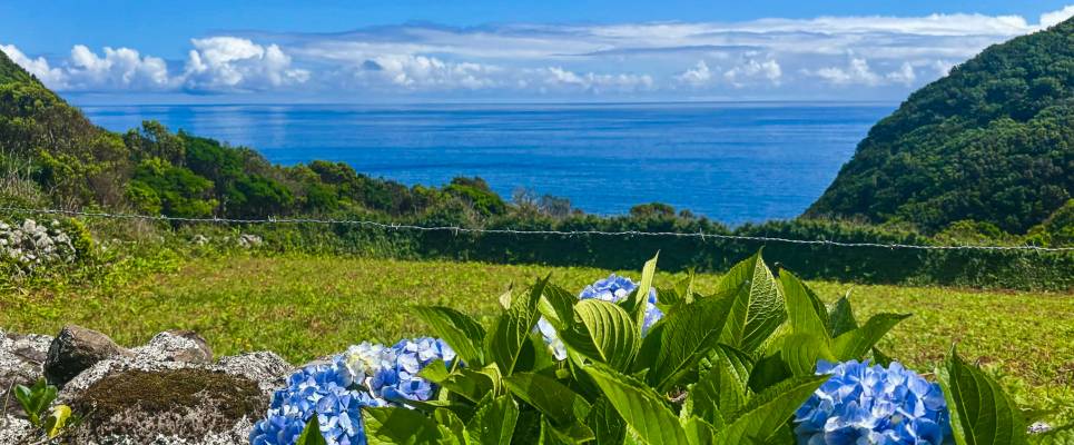 Walking in the Azores