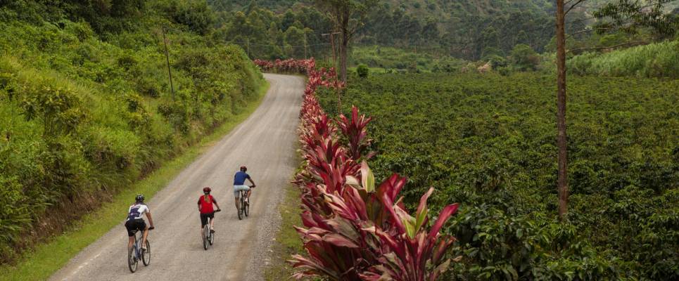 Costa Rica Coast to Coast Ride