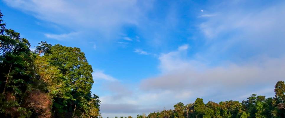 Borneo Wildlife Discoverer