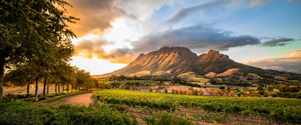 Stellenbosch