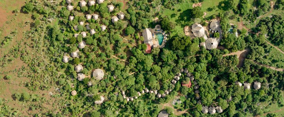 Kenya Safari Adventure