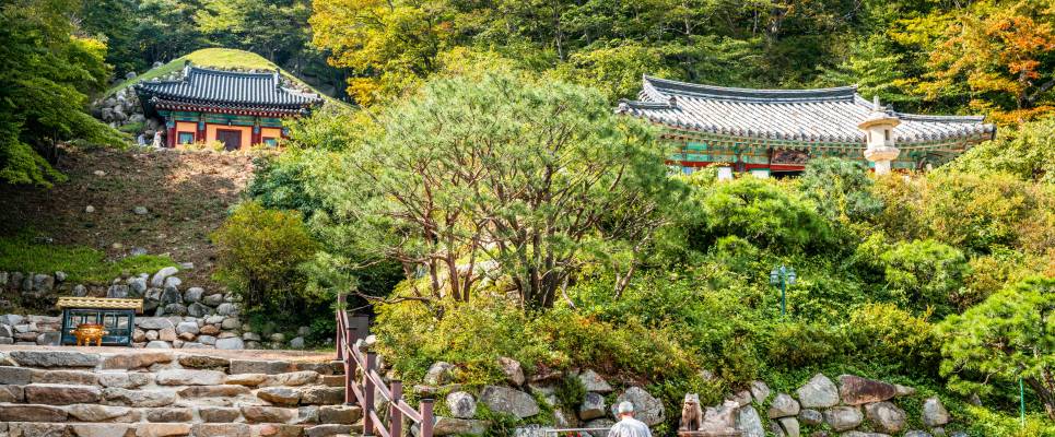 Discover South Korea