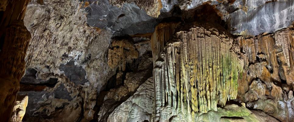 Discover South Africa’s Garden Route