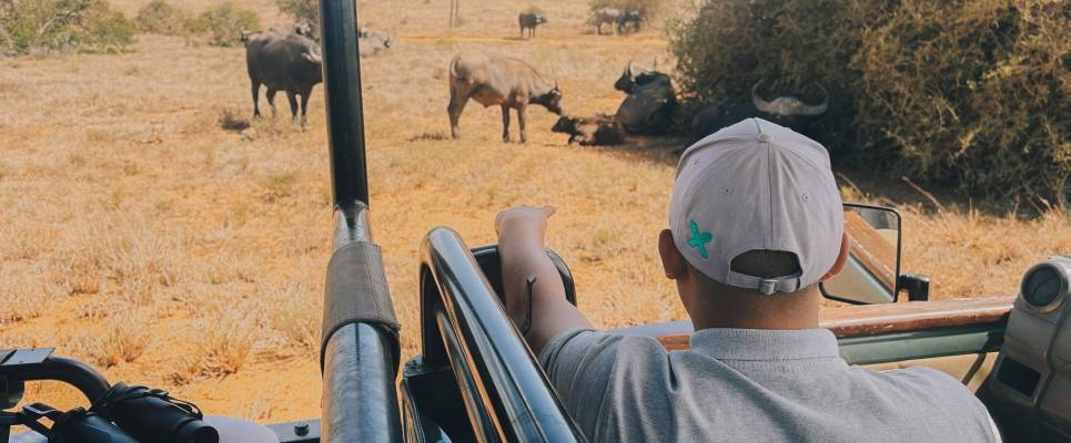 Discover South Africa’s Garden Route