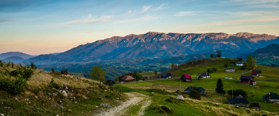 Carpathian Walking & Bears