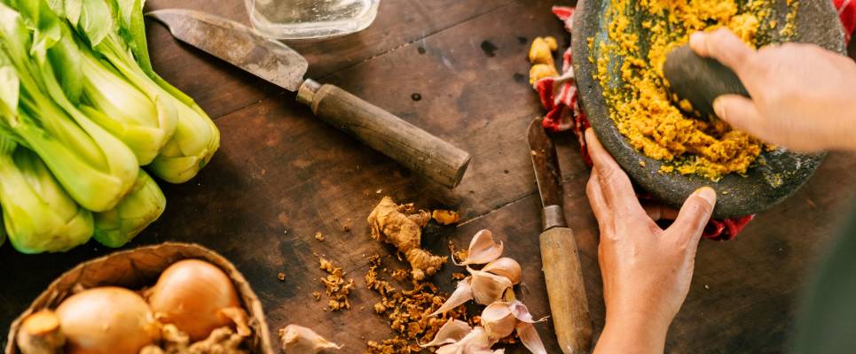 Primates & Dragons of Indonesia