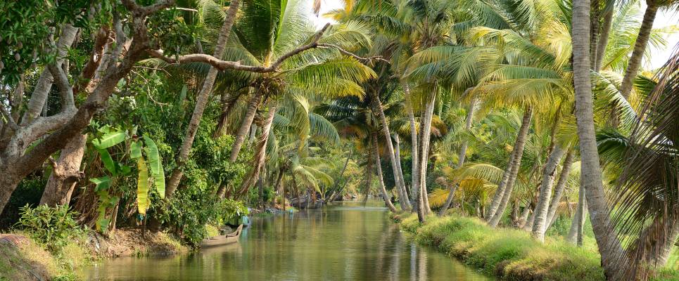 Signature India | Between Spices & Backwaters