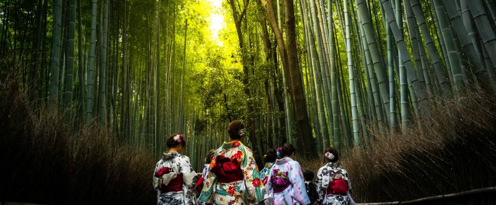 Signature Japan | Through Temples & Time