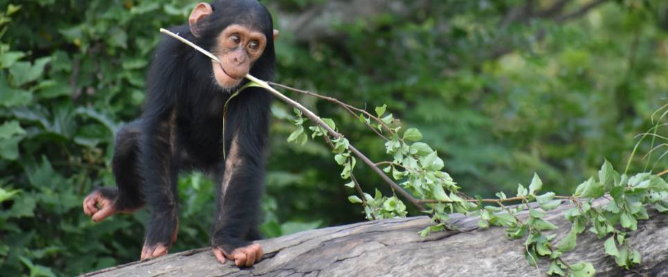 Signature South Africa | Across the Wild Plains