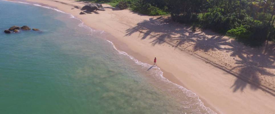 Signature Sri Lanka | The Island of Serendipity