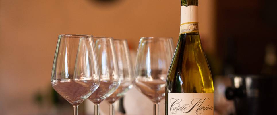 Signature Italy | Dolce Vita by Rail