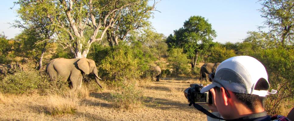 Essential Kruger Safari – Family Adventure