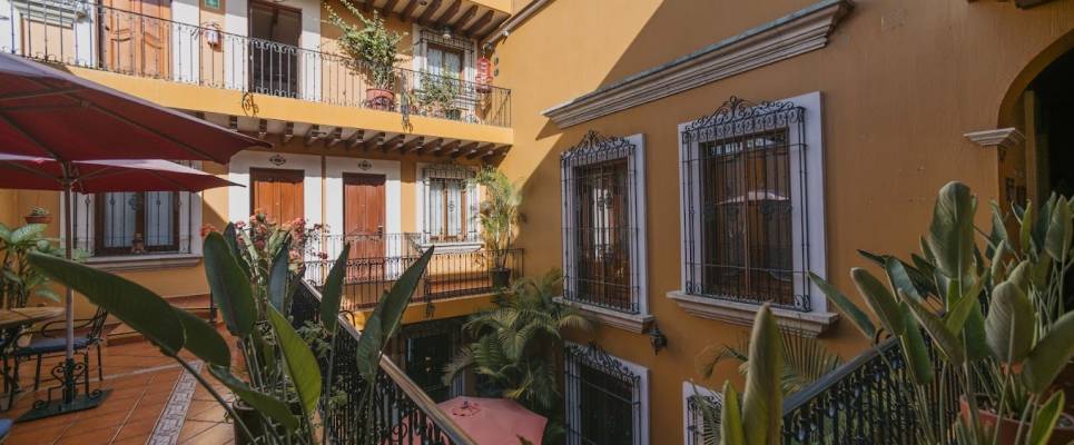 Signature Mexico | Among Ruins & Ritual