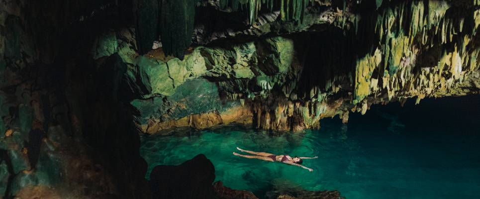 Signature Indonesia | The Sacred Wild Isles