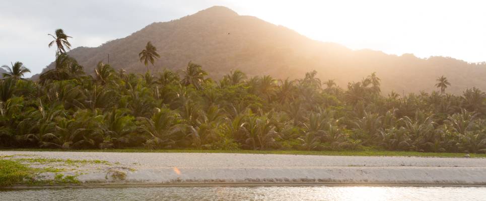 Signature Colombia | Stories Beneath Wax Palms
