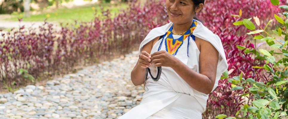Signature Colombia | Stories Beneath Wax Palms