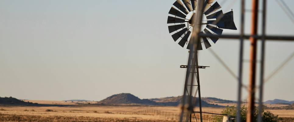 Signature South Africa | Wild Coasts & Winelands