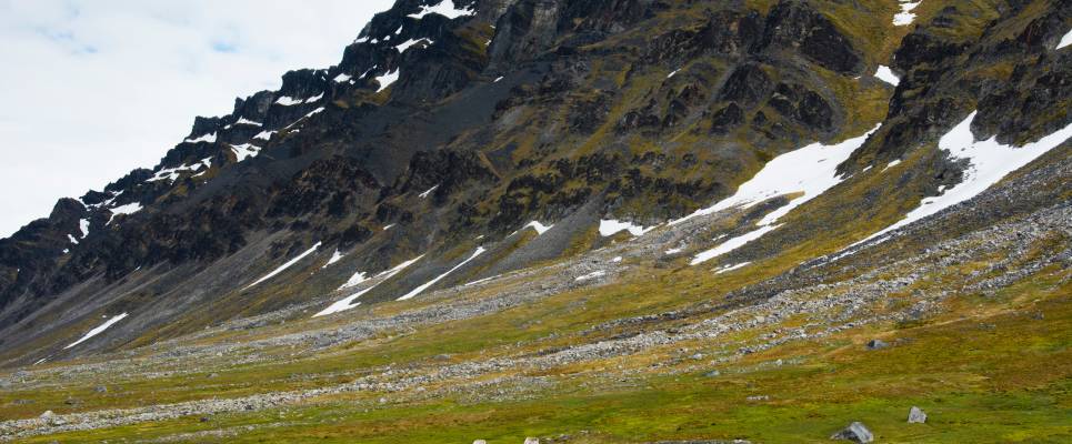 Scotland to Spitsbergen: Puffins, Sea Ice and Wildlife