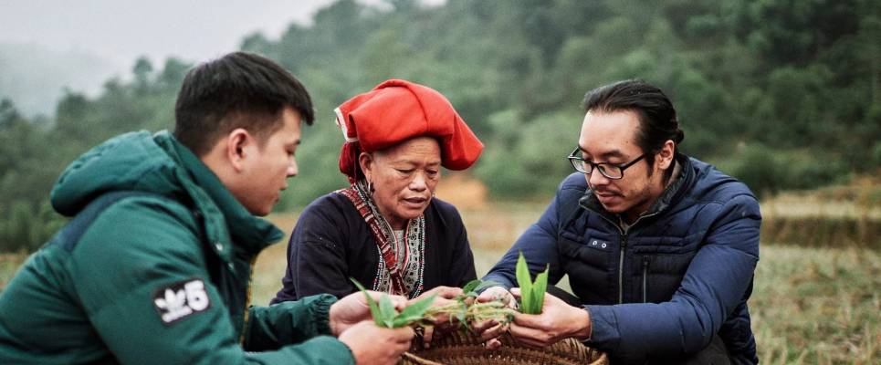 Signature Vietnam | In Fabric & Folklore