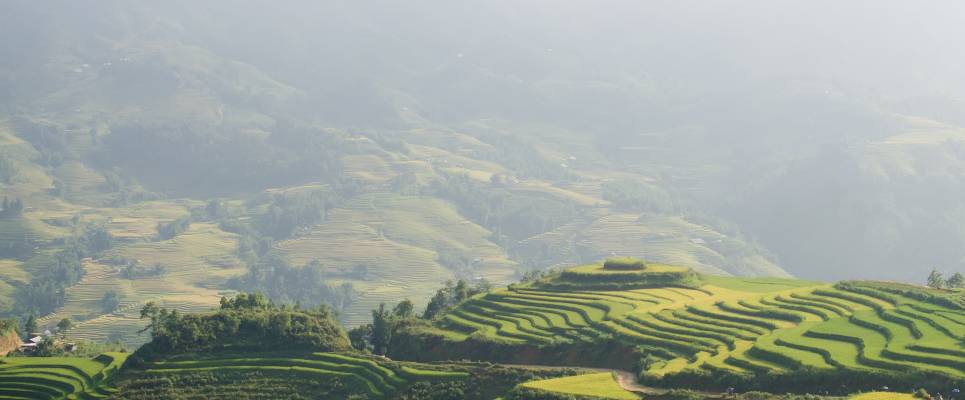 Signature Vietnam | In Fabric & Folklore