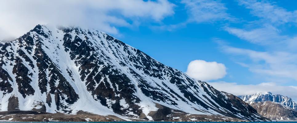 Scotland to Spitsbergen: Puffins, Sea Ice and Wildlife