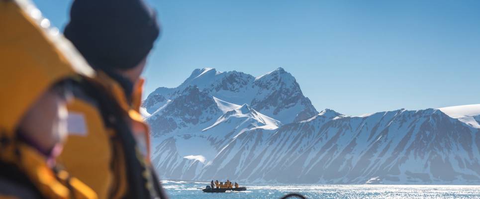 Svalbard in Summer: Tundra, Whales and Wildlife