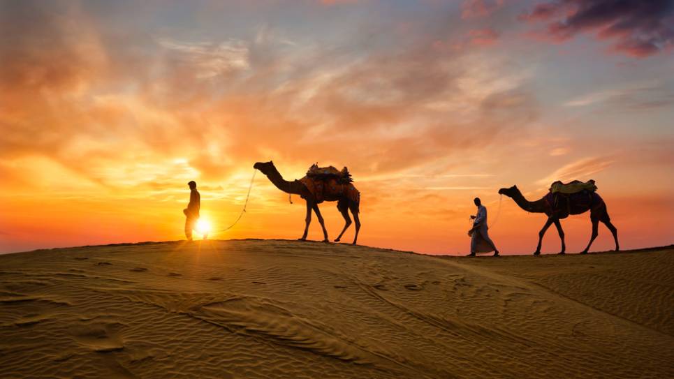 thar desert