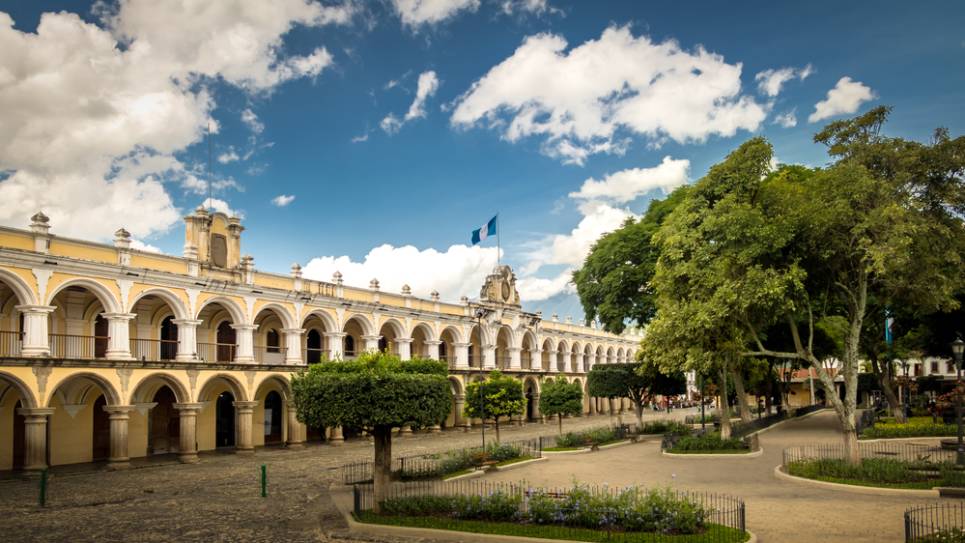 birds, antigua, guatemala