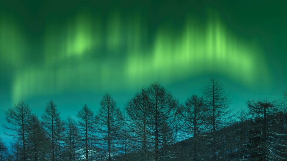 A Northern Lights Expedition – January 2028