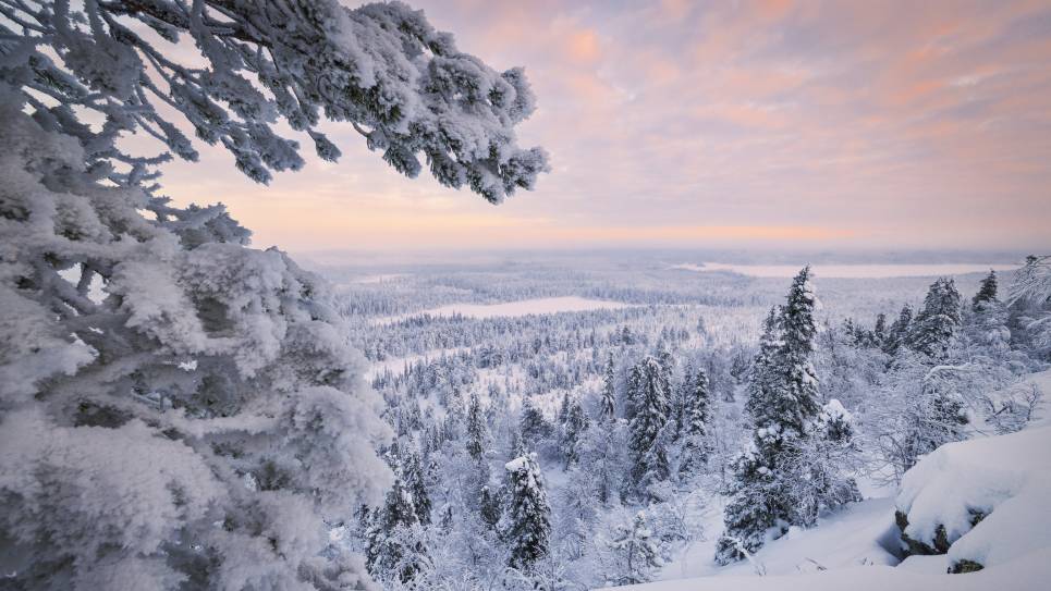 lapland
