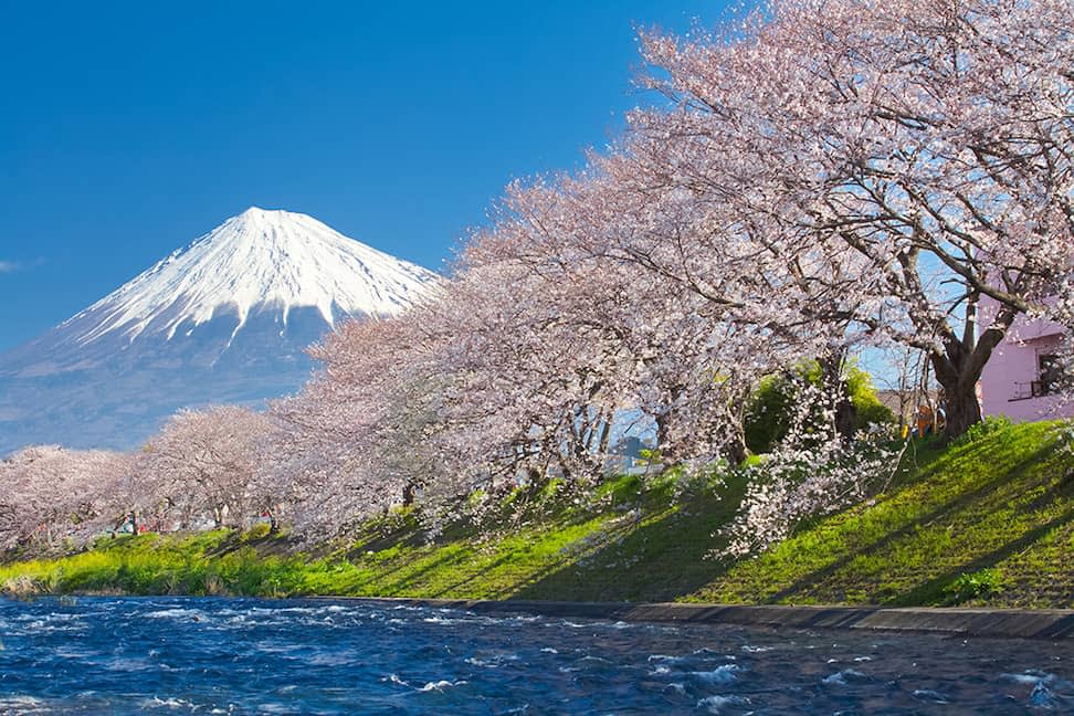 Mount Fuji