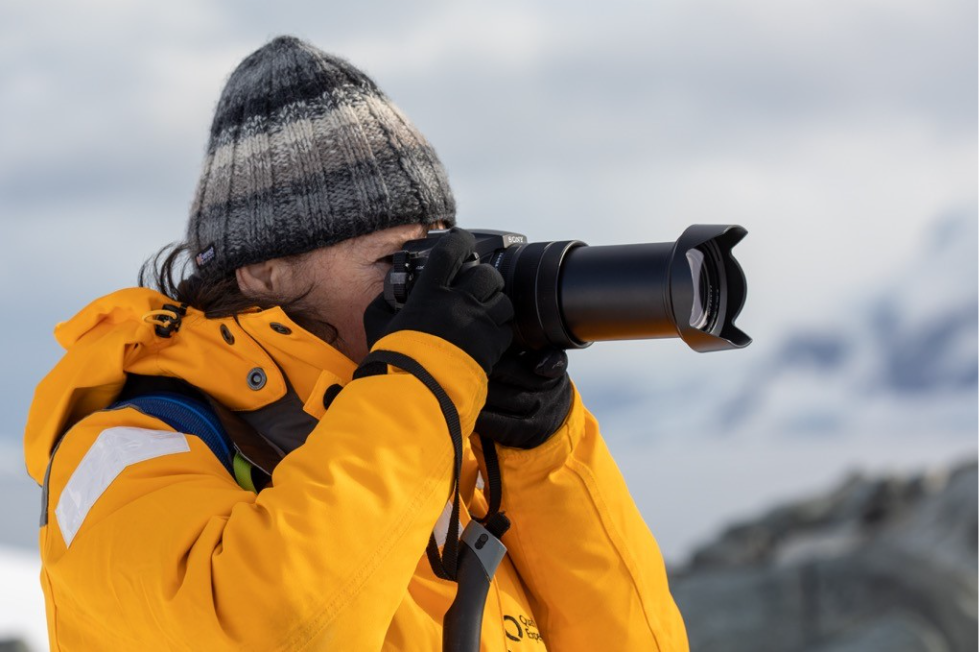 Visit Antarctica: Where to Go & What You’ll See