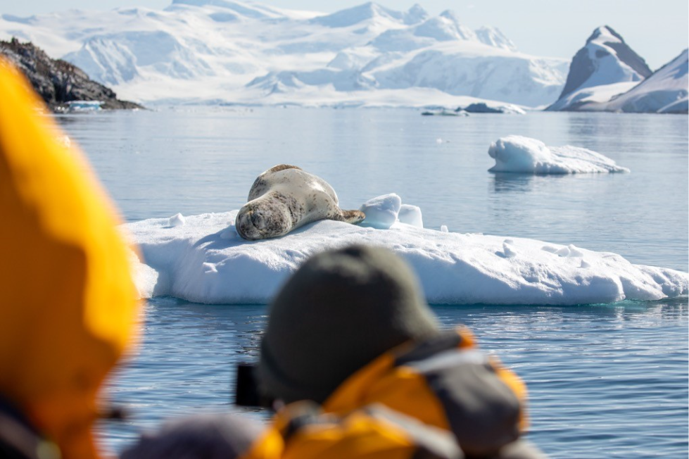 Visit Antarctica: Where to Go & What You’ll See