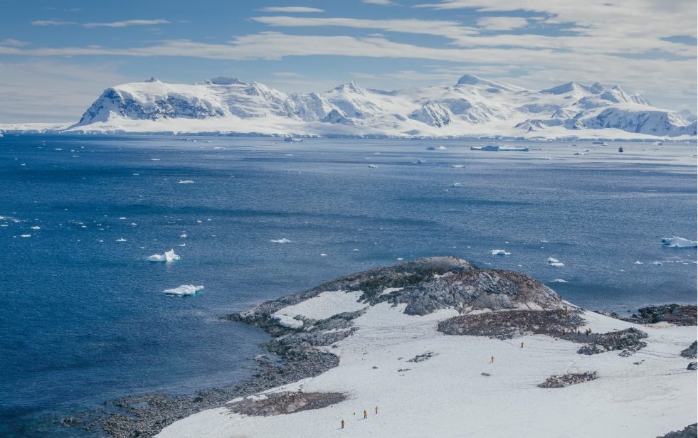 Gentoo Penguins nest among the rocky terrain of Cuverville Island, a favorite Antarctic landing site for many travelers