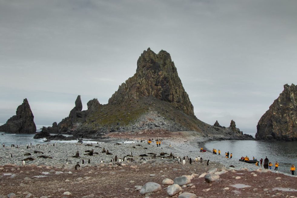South Shetland Islands (Fort Point), includes gentoo penguins and fur seals.
