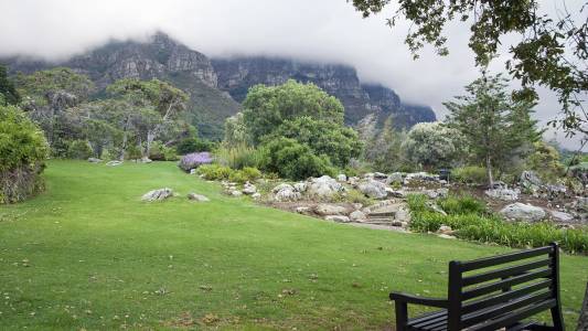 an empty park bench sitting on top of a lush green field
