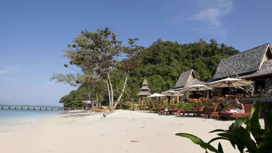a group of palm trees on a beach