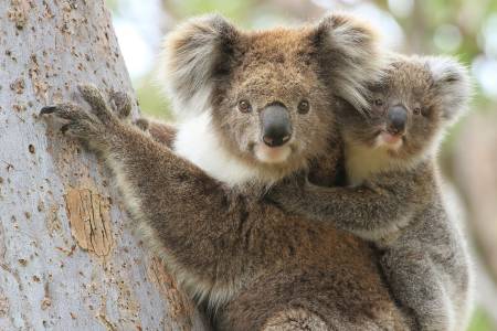 The Ten Most Spectacular Beaches In Australia