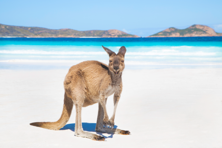 The Ten Most Spectacular Beaches In Australia
