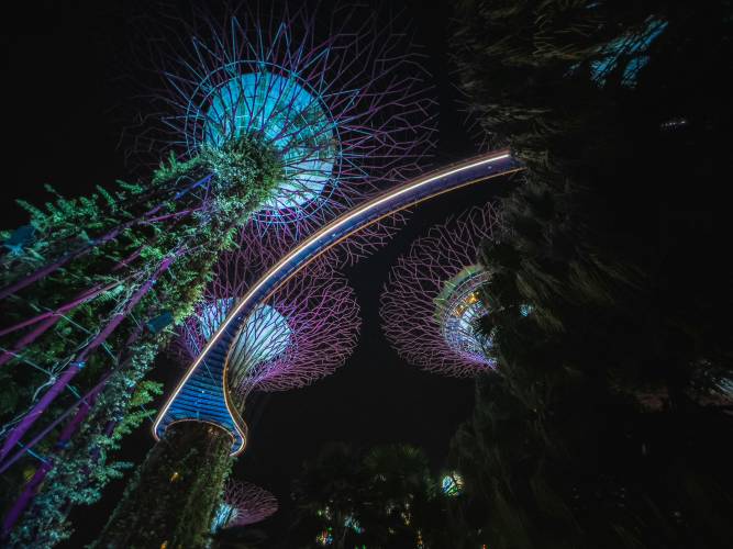 The Best Christmas Markets Outside of Europe