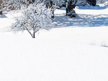 Winter Holidays in Switzerland