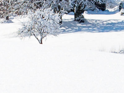 Winter Holidays in Switzerland