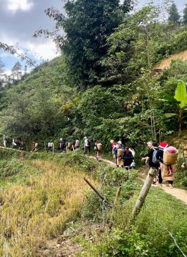 The Primate Survival Project