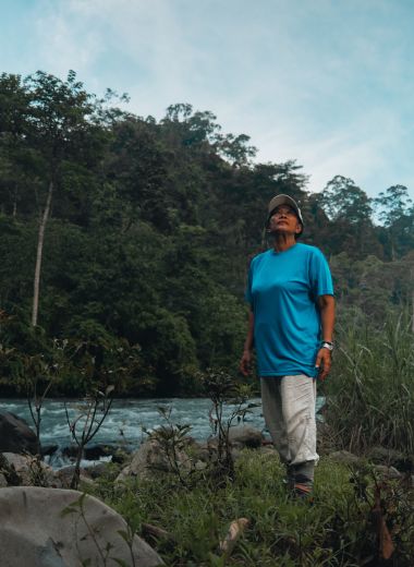 "In the jungle, you can feel the energy of nature"